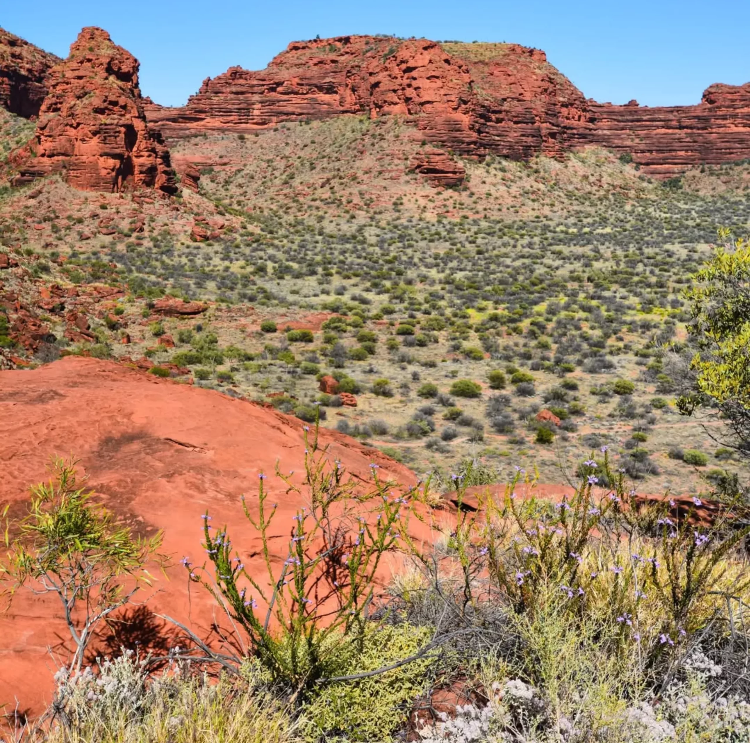 long walks, Uluru