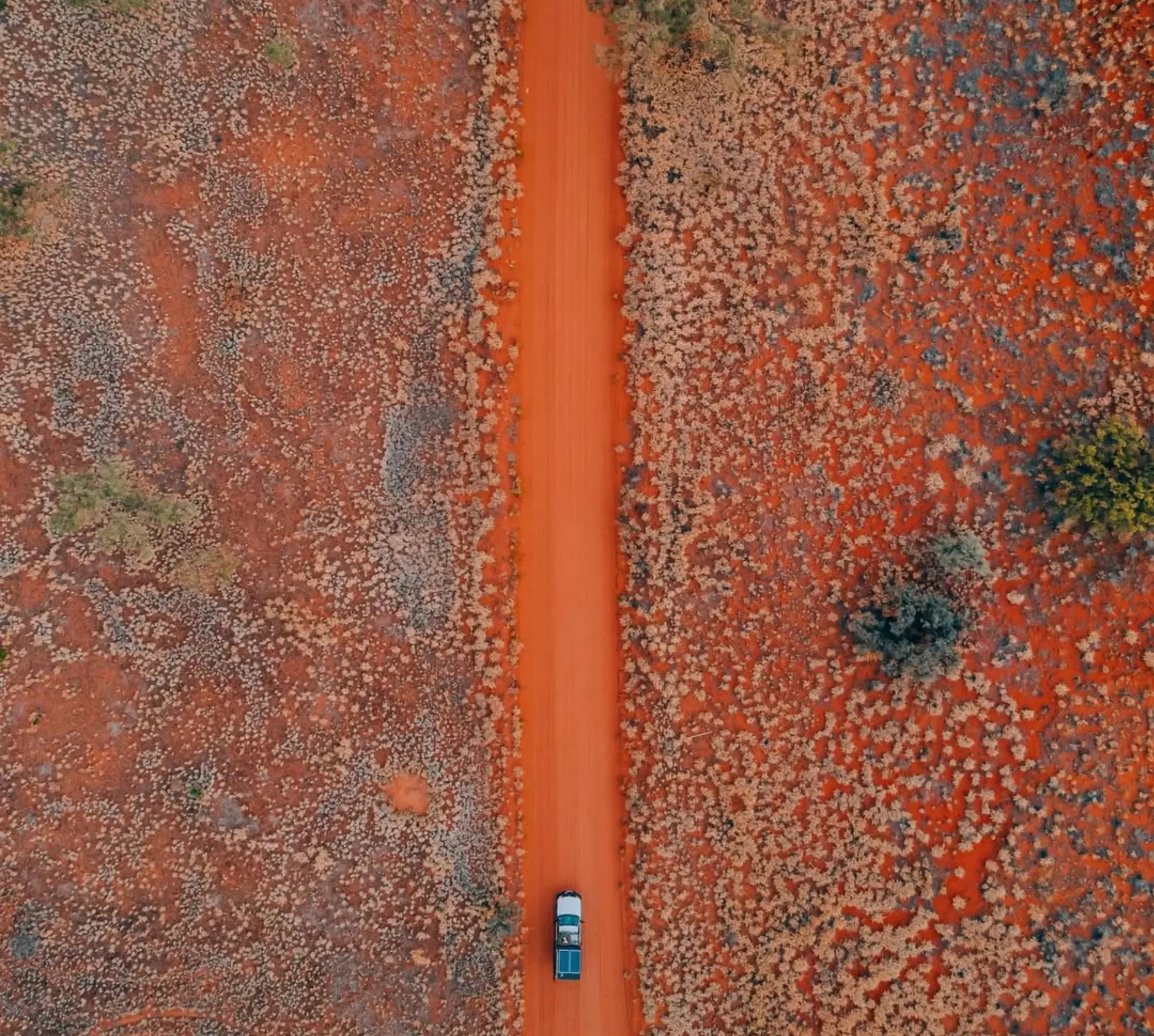 sandy trails, Uluru