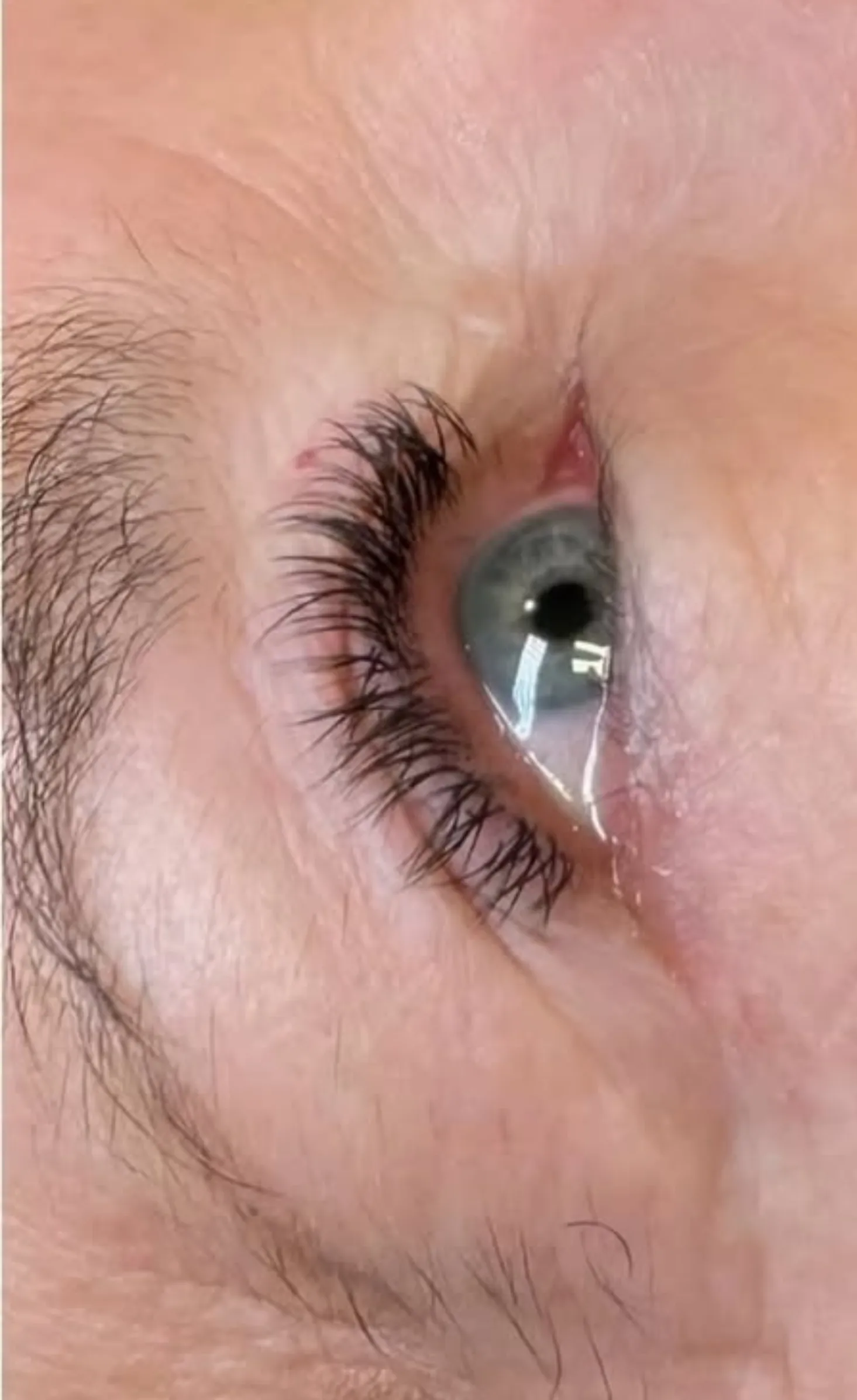 professional lash technician