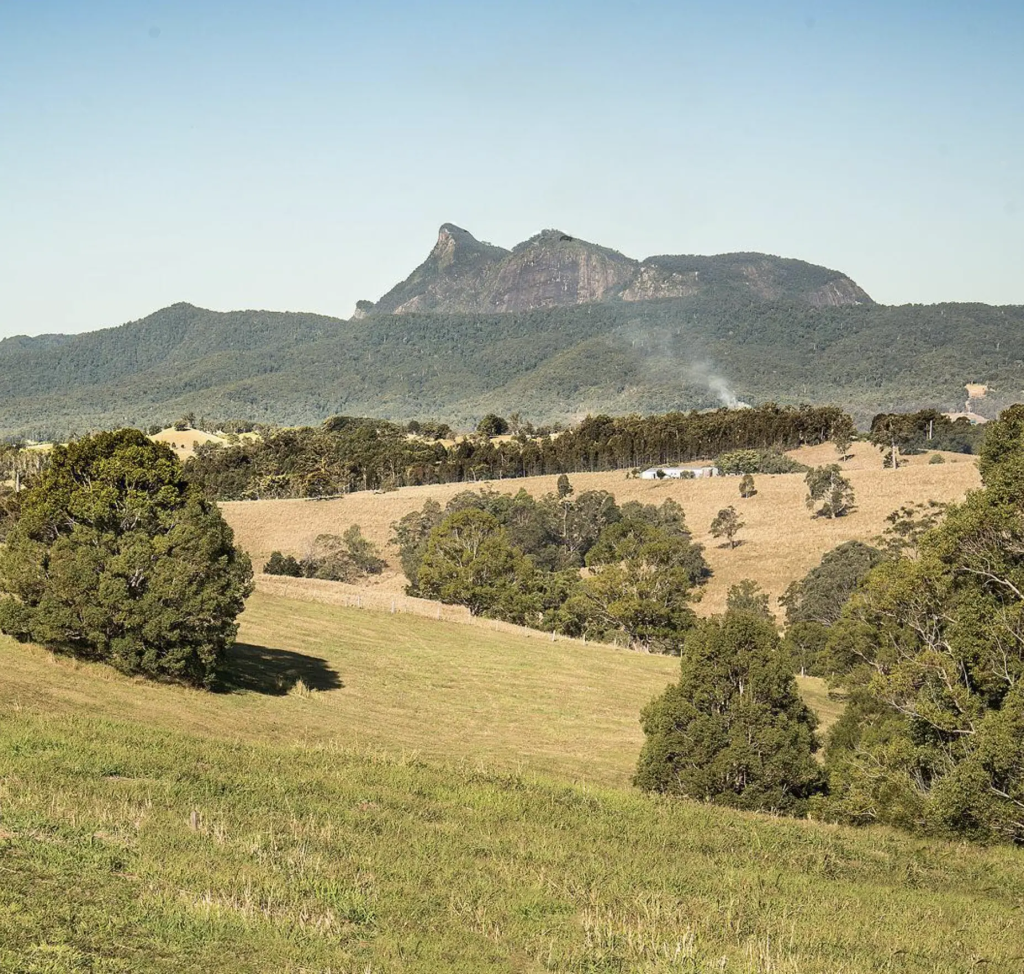 Queensland’s Southern Edge A Reality Check