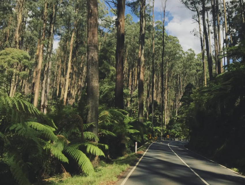 Wheelchair-Accessible Wilderness Exploring the Great Dividing Range for All Abilities